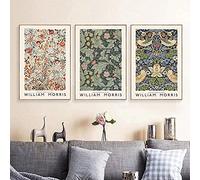 HHLSS Estilo nórdico 3 Piezas 50x70 cm sin Marco William Morris póster artístico Impresiones Retro Abstracto Floral Moderno imágenes de la Sala de Estar