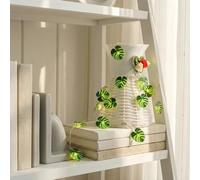 HHMTAKA 3M - Guirnalda de 30 luces LED con luces de hadas, funciona con pilas, guirnalda de luces blancas cálidas para el hogar, cocina, jardín, oficina, boda, decoración de pared (helecho de carey y