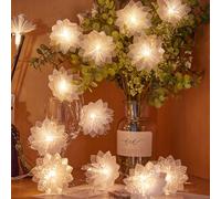 HHMTAKA Guirnalda de 20 luces LED blancas cálidas decorativas para interiores, cable transparente, alimentado por USB, 3 m, decoración de dormitorio, hogar, boda, San Valentín, cumpleaños