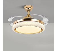 HHRLCH 104W Ceiling Fan Light Invisible Fan Blade European-Styled Inverter Electric Fan Chandelier Bedroom Dining Room Living Room Light Decorative Ceiling Light