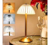 HHRLCH Battery Powered Touch Dimmable Table Lamp - Cordless Adjustable Brightness 3000K-6000K USB Rechargeable for Restaurants Cafe Living Room Bedroom