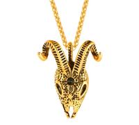 HHRLCH Skull Necklace For Men, Goat Skull Head Pendant, Hip Hop Death Skull Skeleton Pendant Necklace, Memento Mori Necklace, Pirate Medallion