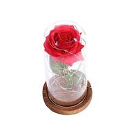 HHRLCH Table Lamp in Remembrance Flower Light Girlfriend Flower Romantic Decorations Special Night Romantic for Her Flowers Decoration Red Rose Decorate Glass Cover Table Lamp Household faucets