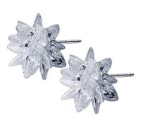 HHRLCHX Pendientes Personalizados, Pendientes de Flores S925, Damas de Hielo Blanco de Cristal de Pendientes de la Flor de la Flor de S925