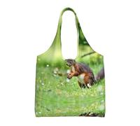 hhxvcv Bolsas de lona grandes y coloridas con estampado de cebra, bolsas reutilizables para compras y comestibles para viajes, playa, vida diaria, Linda ardilla, Talla única