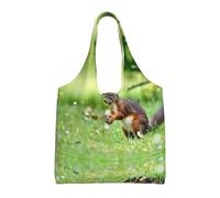 hhxvcv Bolsas grandes de lona con estampado de rosas doradas, bolsas de compras y comestibles reutilizables para viajes, playa, vida diaria, Linda ardilla, Talla única