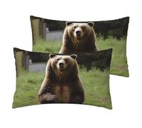 Hi Bear Sit on The Lawn - Juego de 2 fundas de almohada de lino tamaño Queen con cierre de cremallera, funda de almohada suave y transpirable de 12 x 20 pulgadas, sin arrugas para todas las estaciones