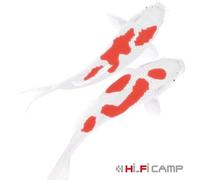 mayddle Hi-Fi Camp - Koi