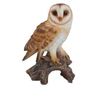 Hi-Line Gift Ltd Búho de Granero en tocón, 725"