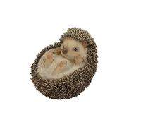 Hi-Line Gift Ltd Estatua de Erizo en la Espalda