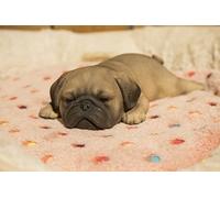 Hi- Line Gift RUNADI 87710-L - Figura de Perro durmiendo