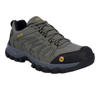 HI-Tec Campana Low WP, Zapatos para Senderismo Hombre, Miel de Oliva, 42.5 EU