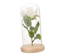 HIAKDOFT 1pieza Rosa Preservada Cúpula De Vidrio Led Base Clara Decoración Floral Creativa para San Valentín y Cumpleaños Inmortal para Amantes y Aniversarios