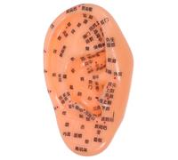 HIAKDOFT De Acupuntura Auricular Realista Para Práctica De Acupuntura Oreja Herramienta De Aprendizaje De Medicina Anatómico De Oreja Para Reflexología y Masaje De Oído