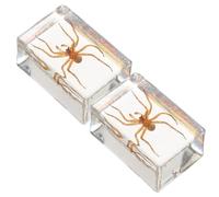 HIAKDOFT Pisapapeles de Resina Transparente Insecto de Araña Juego de 2 Piezas Decoración de Escritorio y Colección Científica para Oficina y Biblioteca Adorno Educativo de Insectos