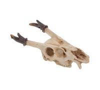 HIAKDOFT Resina Refugio para Reptiles Cueva Decorativa para Terrarios de Tortugas Serpientes y Peceras Accesorio Seguro y Natural para Hábitats de Dragones Barbudo y Anfibios