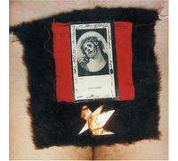 Hidden Cameras, the - ECCE Homo