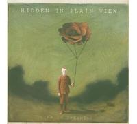 Hidden in Plain View - Life in Dreaming