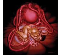 Hide - Flesh for the Living [Vinilo]