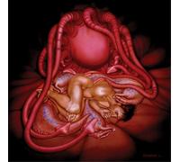 Hide - Flesh for the Living [Vinilo]