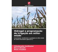 Hidrogel e programação de irrigação em milho-miúdo