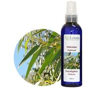 Hidrolato de Eucalipto Glóbulos BIO - 100% Puro y Natural - Terroir UNESCO (Geopark Naturtejo) - Purificante y Respiratorio - 200ml
