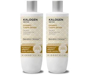 Hidrotelial Champu Grasos Caspa 400Ml, 400 mililitro, 1 (Paquete de 2)