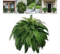 HIDRUO UV Resistant Lifelike Artificial Boston Fern, Artificial Boston Ferns for Outdoors Large,Lifelike Faux Greenery for Indoor/Outdoor Decor for Porch,Patio,Office, Realistic Fake Ferns (60 Leaves)