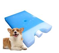 Hielo seco reutilizable - Hielo térmico antigoteo para Lunch Box | Solución práctica multiusos para senderismo y camping con función de refrigeración