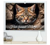Hier kommt Mietzi (hochwertiger Premium Wandkalender 2026 DIN A2 quer), Kunstdruck in Hochglanz: Ein Kalender mit frechen Katzen, jeden Monat neu!