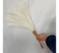 Hierba artificial de las pampas, tallos de caña de fuegos artificiales, paquete de hierba de cola de zorro para el hogar, jarrón de sala de estar, boda, jardín, decoración de mesa (blanco claro)