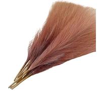 Hierba De Caña Simulada Decoración de San Valentín con caña, Fondo Boda, arreglo Floral, diseño Escena, Plumas, Hierba la Pampa(Coffee)