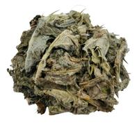 Hierba de Cardo Mariano Seca 25g - 1.95Kg Silybum marianum (25 gramos)