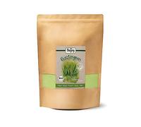 Hierba De Cebada BIO En Polvo (1 kg)