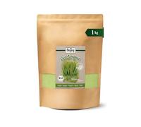 Hierba De Cebada BIO En Polvo (1 kg) | De Alemania, sin tratar, Hordeum vulgare L.