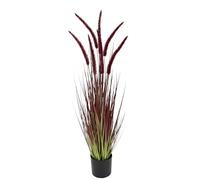 Hierba de cola de zorro en maceta, planta artificial, hierba ornamental, plantas verdes, racimos de hierba, manojo de hierba, arbusto, hierba ornamental, hierba solitaria, decoración de otoño, mijo de