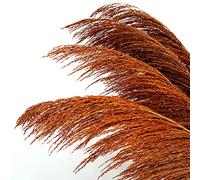 Hierba de pampa grande de color naranja quemada, 4 unidades de 110 cm, gran hierba de pampa de color seco natural, floral de pampa marrón con aroma de flores secas, planta larga seca para el salón