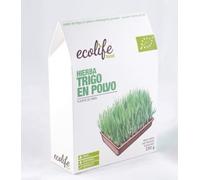 Hierba de Trigo en polvo 200gr. - 200 gr.