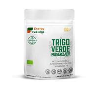 HIERBA DE TRIGO VERDE PULVERIZADO ECO TARRINA 150GR