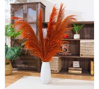 Hierba grande de Pampa naranja quemada, 8 piezas de 80 cm, Hierba grande de Pampa colorida seca Natural, Floral de Pampa Marrón con aroma a flores secas, Planta seca Larga para el Salón