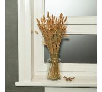 Hierba la Pampa Seca Hierba de Cola de Liebre Seca Lagurus Flores Secas 60 Piezas Flores Secas Decorativas Grandes, Decoración Boho Decoración Mesa