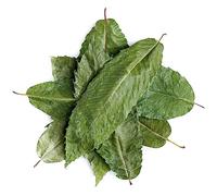 Hierba Té Pamplona Orgánica - Hierba De Pamplona - Stellaria Media