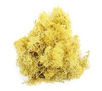 Hierba verde artificial de musgo falso para centros de mesa, plantas verdes artificiales, vida eterna, musgo, hierba, hogar, sala de estar, decoración de jardín (amarillo)