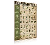 Hierbas medicinales y sus usos. Tipos de algas marinas. Carteles de metal para decoración de pared. Conocimiento científico infantil. Decoración retro para habitación. Placa de impresión para dormitor
