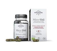 Hifas Da T Hifasdaterra Mico Shii (Shitake) 30Cap. 300 g, 1 Unidad