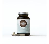 Hifas da Terra - HIFAS-Neuro - Extractos puros de Melena de León y Chaga - Bote 60 cápsulas