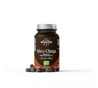 HIFAS DA TERRA - Mico-Chaga Extracto Puro de Chaga - Extracto de Hongos - Bote 70 Cápsulas