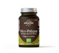 HIFAS DA TERRA - Mico-Polypor - Extracto Puro de Polyporus - Extracto de Hongos - 70 Cápsulas