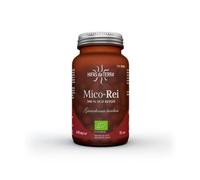 Hifas da Terra Mico-Rei 70 caps