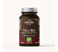 Hifas da Terra Mico Rei Extracto De Reishi 70 Caps